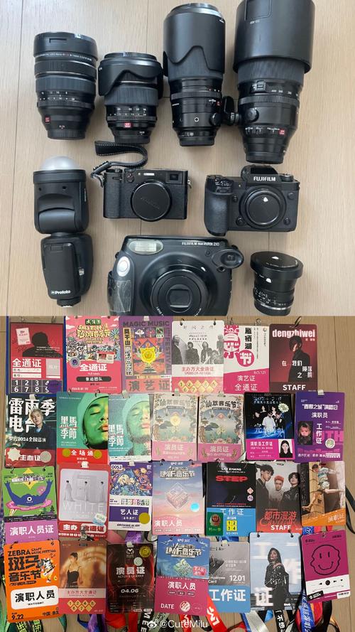 2024年照相机及器材销售市场年终回顾与展望